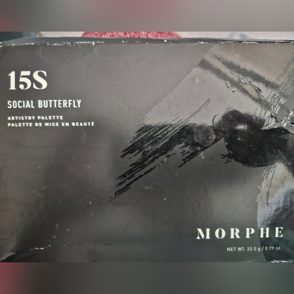 Morphe social butterfly